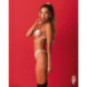 Harness-BH Lustique – Obsessive