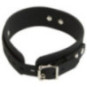 Silikon-Halsband mit Leine – Bad Kitty