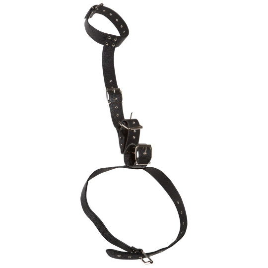Hals-Handfessel – Bad Kitty