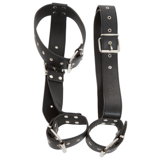 Hals-Handfessel – Bad Kitty