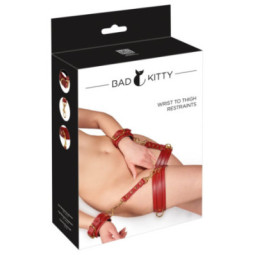 Hand-Bein-Fessel – Bad Kitty