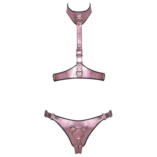 Harness-Set – Bad Kitty
