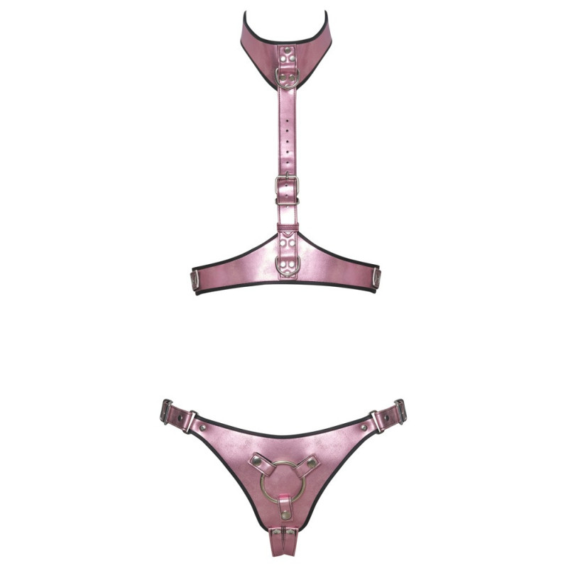 Harness-Set – Bad Kitty