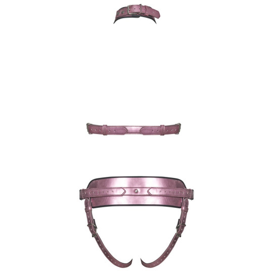 Harness-Set – Bad Kitty