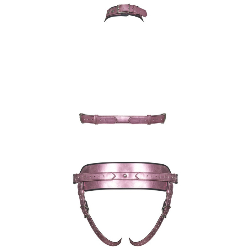 Harness-Set – Bad Kitty