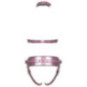 Harness-Set – Bad Kitty