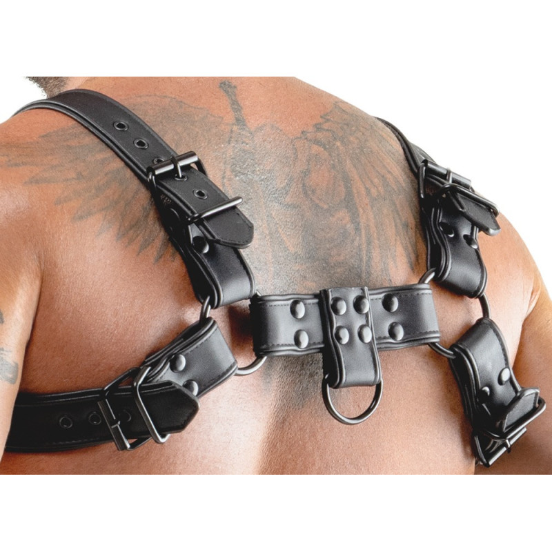 Brustharness – Svenjoyment