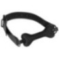 Bone Gag – Bad Kitty