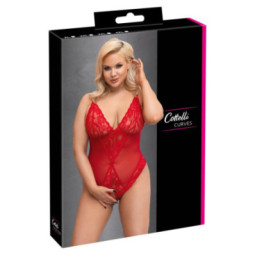 Body – Cottelli CURVES