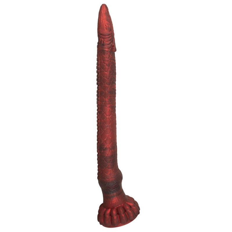 The Enormous Eel – Beasty Cocks