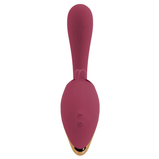 2 Function Vibrator – JAVIDA