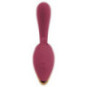 2 Function Vibrator – JAVIDA