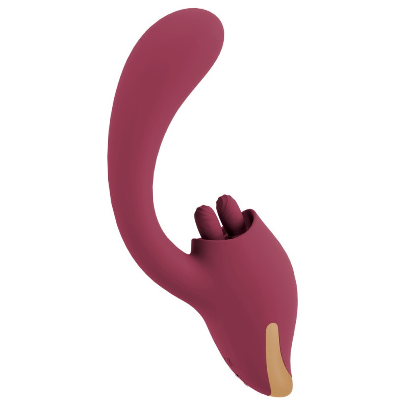 2 Function Vibrator – JAVIDA