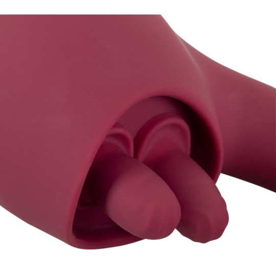 2 Function Vibrator – JAVIDA