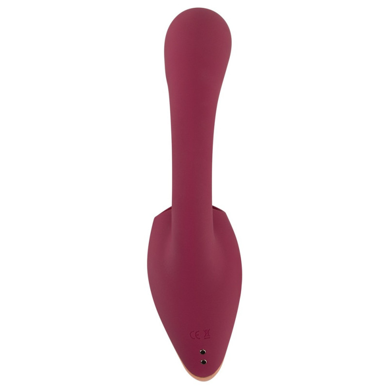 2 Function Vibrator – JAVIDA