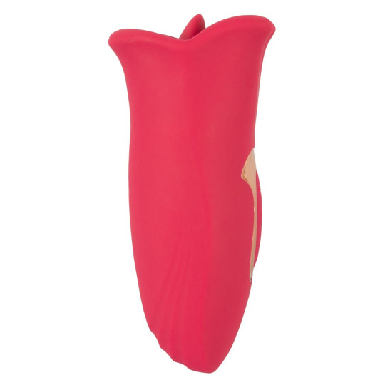Oral Fun Vibrator – You2Toys