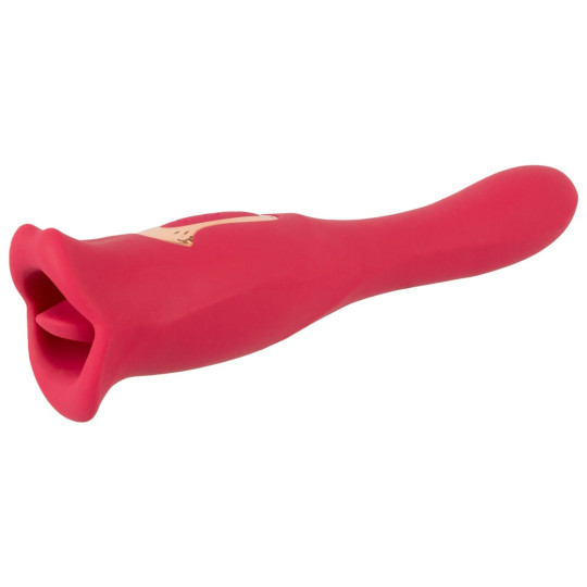 Oral Fun Vibrator – You2Toys