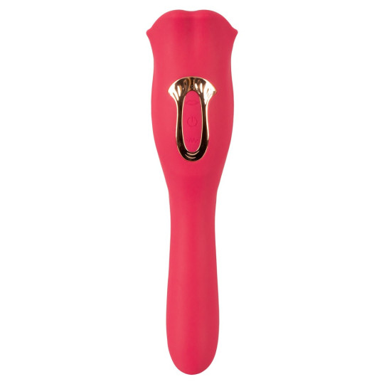 Oral Fun Vibrator – You2Toys