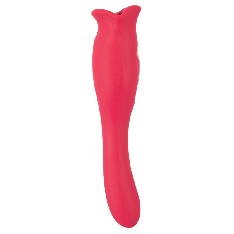 Oral Fun Vibrator – You2Toys