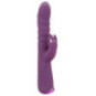 2 Function Rabbit Vibrator – JAVIDA