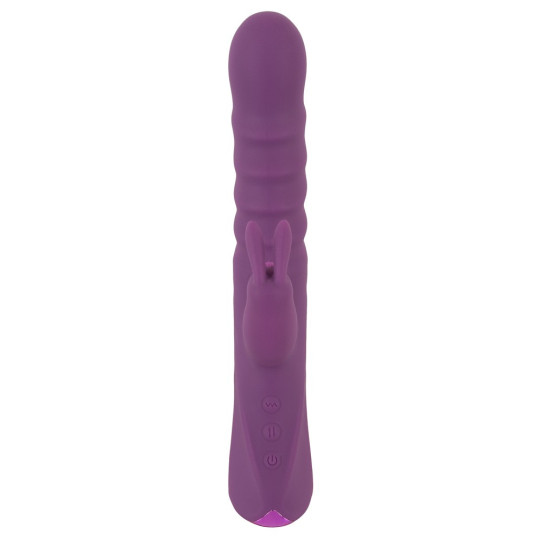 2 Function Rabbit Vibrator – JAVIDA