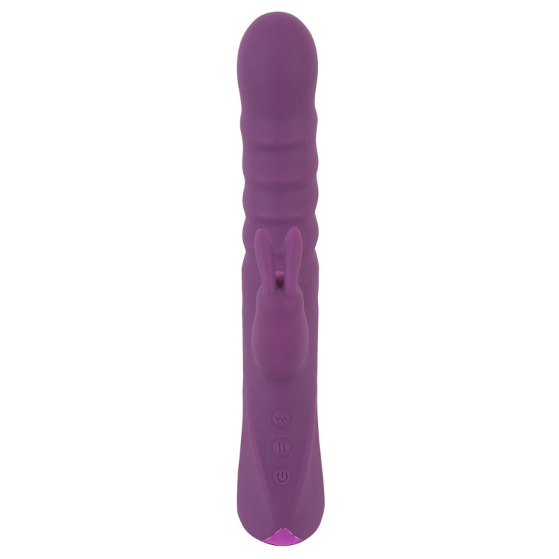 2 Function Rabbit Vibrator – JAVIDA