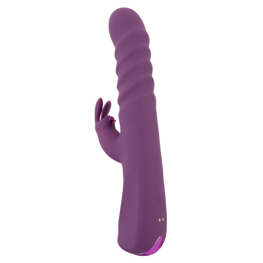 2 Function Rabbit Vibrator – JAVIDA