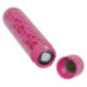 LEO Mini Vibrator – beau coeur