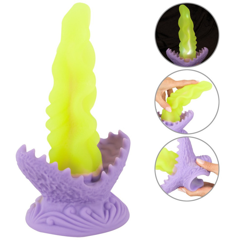 Passionate Plant – Beasty Cocks