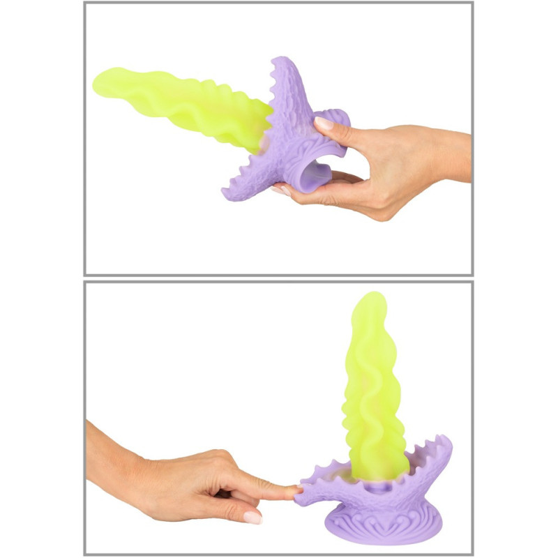 Passionate Plant – Beasty Cocks