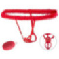 Lay-On Set – Your Strap-on Collection