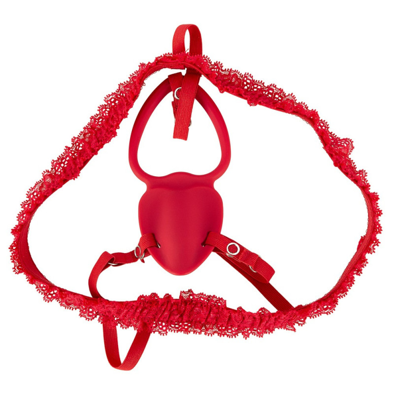 Lay-On Set – Your Strap-on Collection