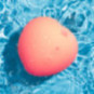 Pink Peach – ROMP